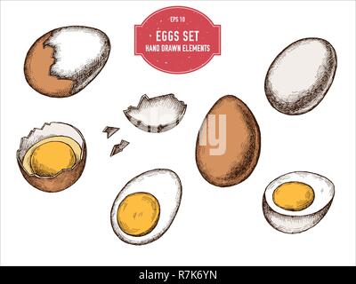 Vector collection of hand drawn colored  eggs Stock Vector