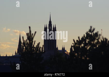 Silhouette of the Gothic Mitchell Tower, Marischal College at Sunset, From Broadhill between small Pine Trees. Aberdeen, Scotland, UK