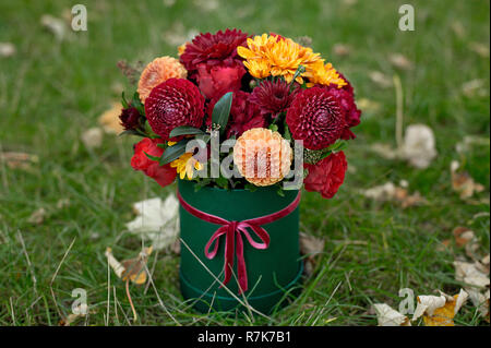 Flower arrangement in a box, a pot with pink, red, orange, marsala for a girl as a gift with roses, asters, freesia, Eucalyptus on a background of law Stock Photo