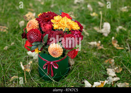 Flower arrangement in a box, a pot with pink, red, orange, marsala for a girl as a gift with roses, asters, freesia, Eucalyptus on a background of law Stock Photo