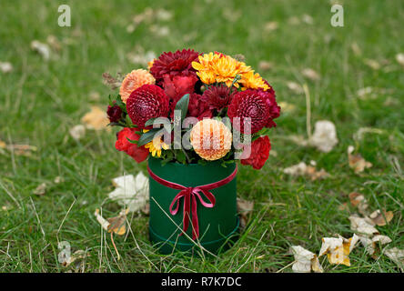 Flower arrangement in a box, a pot with pink, red, orange, marsala for a girl as a gift with roses, asters, freesia, Eucalyptus on a background of law Stock Photo