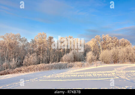 Pink twilight in the winter forest - beautiful winter landscape. Evening or morning sunlight painted hoarfrost-covered trees in gentle colors - a magi Stock Photo