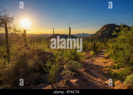 Sunset over hiking trail in Saguaro National Park in Arizona Stock Photo