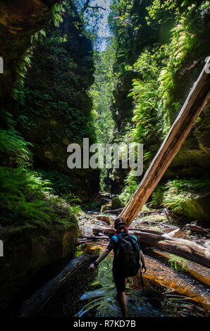 Canyoning in the Blue Mountains Stock Photo