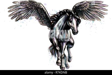 Book Drawing, Horse, Pegasus, Flying Horses, Coloring Book, Line Art,  White, Head transparent background PNG clipart | HiClipart