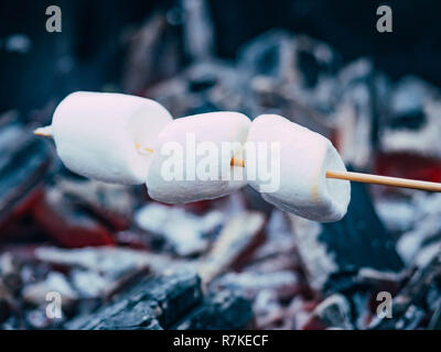 Marshmallow on skewers is fried at the stake. Toasted marshmallows open flame on skewer Stock Photo