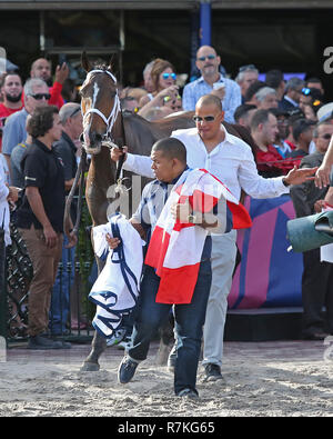 Hallandale Beach, FL, USA. 8th Dec, 2018. December 8, 2018 : #2 Mishegas leaves the winners circle after winning the Invitational Cup for Imported Stakes at Gulfstream Park on December 8, 2018, in Hallandale Beach, FL. Liz Lamont/ESW/CSM/Alamy Live News Stock Photo