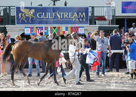 Hallandale Beach, FL, USA. 8th Dec, 2018. December 8, 2018 : #2 Mishegas leaves the winners circle after winning the Invitational Cup for Imported Stakes at Gulfstream Park on December 8, 2018, in Hallandale Beach, FL. Liz Lamont/ESW/CSM/Alamy Live News Stock Photo