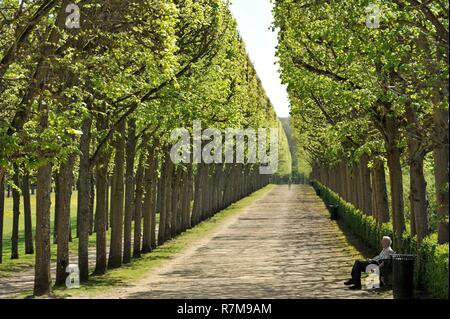 France, Oise, Compiegne, the castle which was the former royal and imperial residence, corridor on the side of the gardens Stock Photo