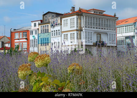 Typical house es in Ferrol, Galicia, Spain. Ferrol  is a city in the Province of A Coruna in Galicia, located on the Atlantic coast in north-western S Stock Photo