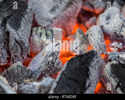 fire burning charcoal Stock Photo