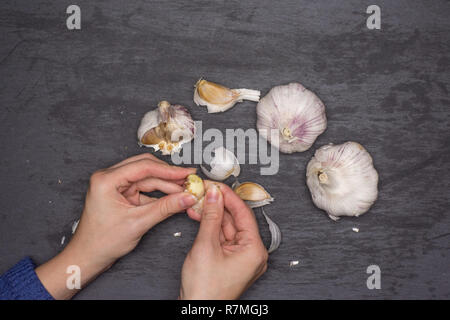 Woman hands are spliting garlic cloves. recipe step by step baked potatoes with onion flatlay on grey stone Stock Photo