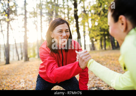 Two female runners stretching outdoors in forest in autumn nature, shaking hands. Stock Photo