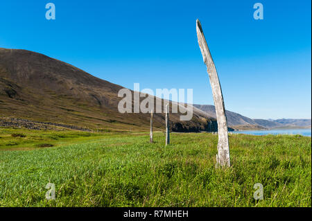 Whale Bone Alley, Yttygran Island, Chukotka, Russia Stock Photo