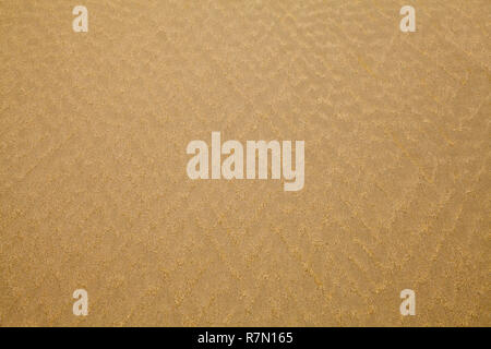 Tan Beach Sand With Ripple Pattern Background. Stock Photo