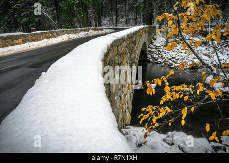Yellow Tree Leaves with Snowy cobblestone bridge over Merced River in Yosemite, California Stock Photo