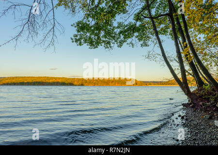 Golden light of sunset on the autumn foliage at Lake Lillinonah Stock Photo