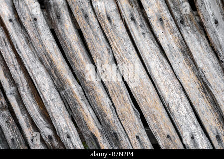 A weathered old wooden wall with rusty nails heads. Grey wooden planks texture background. Stock Photo