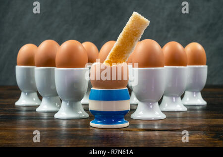 Toast soldier dipped into one boiled egg in a blue striped eggcup surrounded by white egg cups on a wooden table Stock Photo