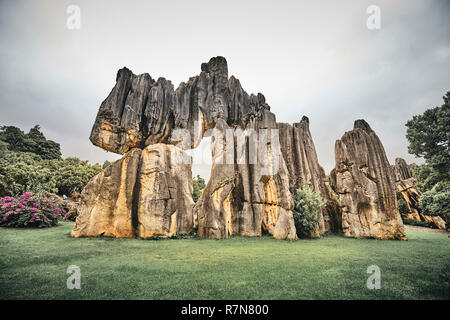 Limestone formations in Stone Forest (Shilin), color toning applied, Yunnan, China. Stock Photo