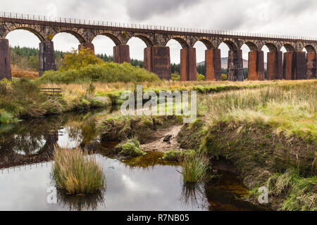 Big Water of Fleet is a 300-yard railway viaduct, with 20 arches. The piers were strengthened with brick encasings in 1940. The line it carried closed Stock Photo