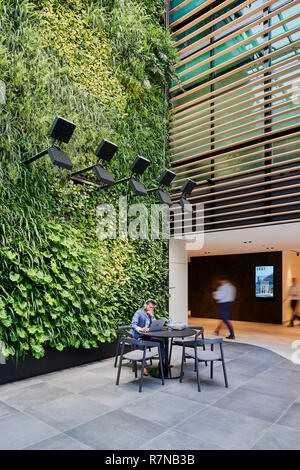 Green wall within entrance lobby. U60, Sydney, Australia. Architect: Custance Associates, 2018. Stock Photo