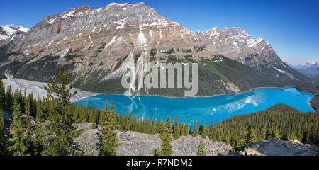 Panoramic view of the emerald green Peyto Lake in Banff National Park ...