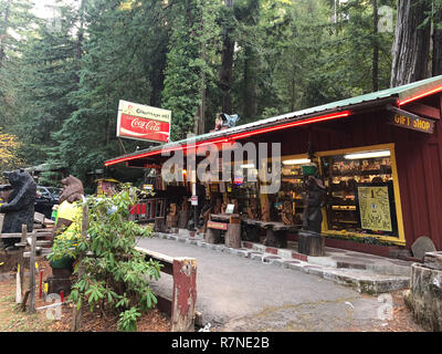 Eureka, CA - November 19, 2018: Confusion Hill oddity park in the California Redwoods National and State Parks in Northeast California. Stock Photo