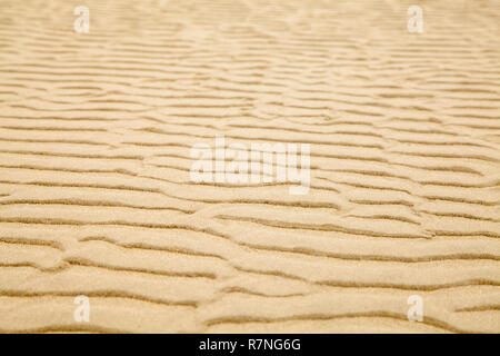 Tan Beach Sand With Ripple Pattern Background. Stock Photo