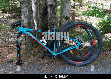 Mountain bike locked to a tree. Stock Photo