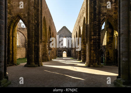 Ruins of the abbey Saint-Mathieu de Fine-Terre in Plougonvelin (Finistère, France) Stock Photo