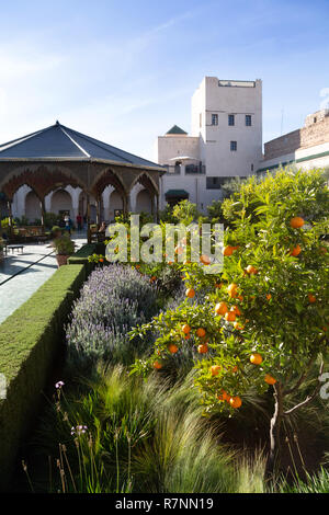 The Secret Garden Marrakech, aka Le Jardin Secret, garden museum, Marrakesh medina, Marrakech Morocco North Africa Stock Photo