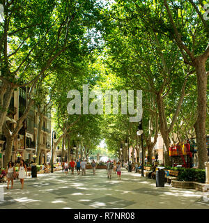 The pedestrianised Passeig des Born, Palma de Mallorca, Spain. Stock Photo