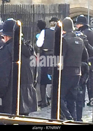 Armed police following an incident at the Palace of Westminster Stock ...