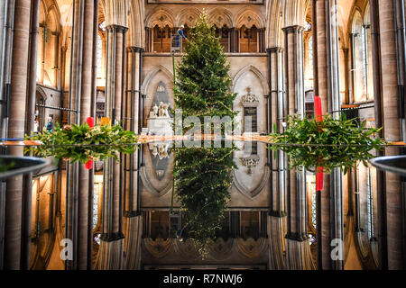 Salisbury Cathedral's ecclesiastical joiner, Richard Pike decorates the 34ft Norway Spruce Christmas tree, felled at the Longleat Estate, as the final trimmings, including 1000 LED lights, glass baubles and ice droplets, are placed on the tree, which stands in front of the West window. Stock Photo
