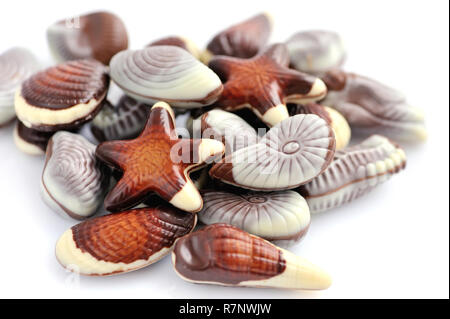 Swiss chocolate seashells on white background Stock Photo