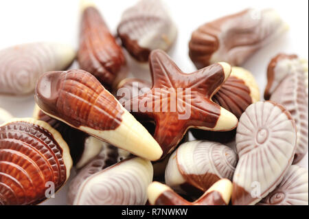 Swiss chocolate seashells on white background Stock Photo