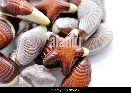 Swiss chocolate seashells on white background Stock Photo