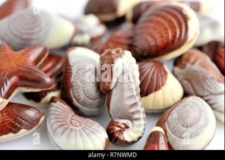 Swiss chocolate seashells on white background Stock Photo