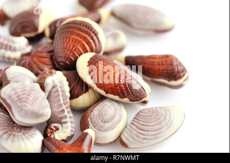Swiss chocolate seashells on white background Stock Photo