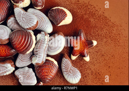 Mixed of chocolate seashell candies Stock Photo