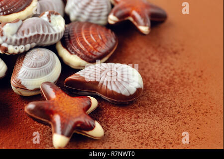 Mixed of chocolate seashell candies Stock Photo