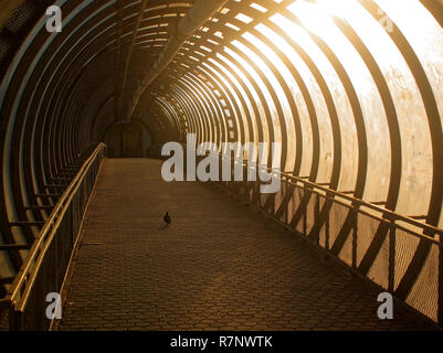 elevated pedestrian crossing in Moscow in summer, Russia Stock Photo