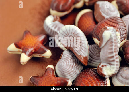 Mixed of chocolate seashell candies Stock Photo
