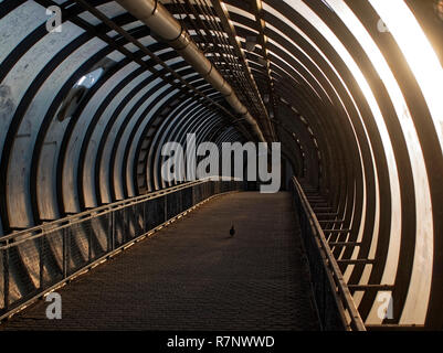 elevated pedestrian crossing in Moscow in summer, Russia Stock Photo