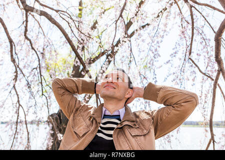 One man smiling by cherry blossom sakura tree branch in spring looking up low angle with hands behind head happy, branches Stock Photo