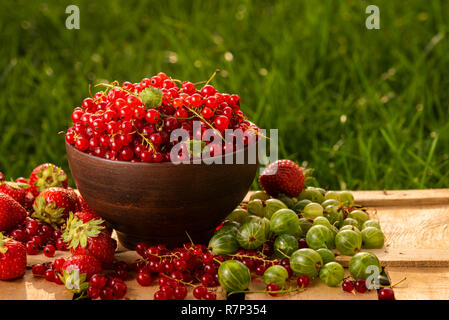 Red currants, gooseberries, strawberries in a plate on the table among the grass Stock Photo