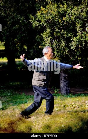 China, Beijing, person doing tai chi chuan in a park Stock Photo