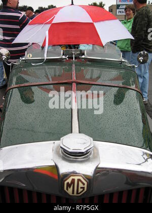 Classic MG TC in car show in light rain with a red and white umbrella covering the cockpit. Car is equipped with Brooklands windscreens as well as the traditional leather hood (bonnet) strap. Definitely low tech. This car was seen at an annual car show held in the fall in Watkins Glen, NY the site of the first organized road race in 1948. Stock Photo