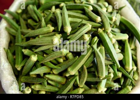 Basket of fresh harvested okra, or ladies fingers in a local farmer produce market in Jaipur, Rajasthan, India. Stock Photo